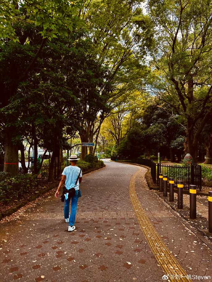 showtime01033's tweet photo. [八幡の杜で背中を押してもらい、最高の1日を！]， https://t.co/mZt9oEt4Hb