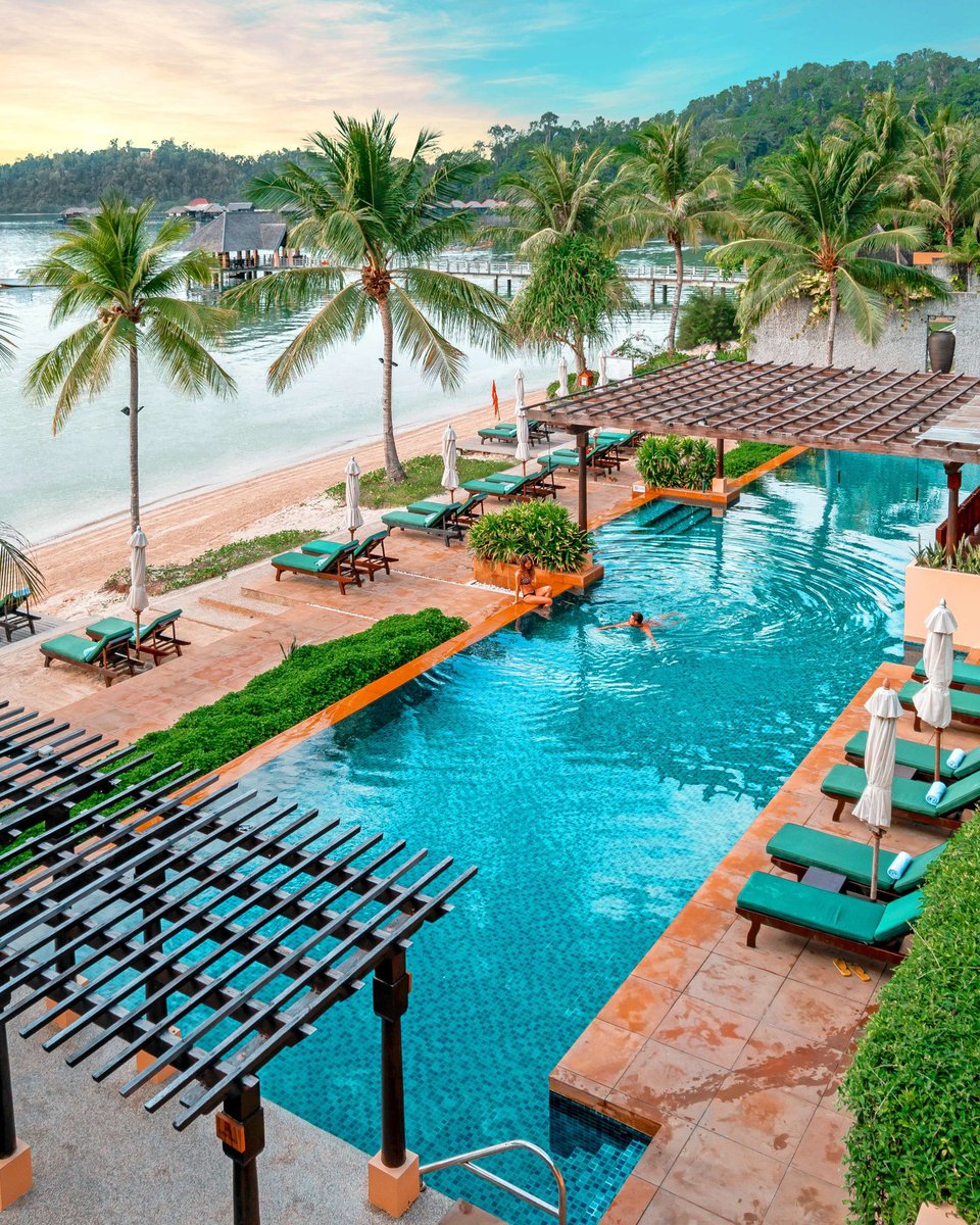 hanifeyaban's tweet photo. Luxury Borneo beach escapes: rainforest views, pristine shores, South China Sea sunsets, island adventures, and unforgettable wildlife. Discover tranquil Gaya Island Resort or Shangri-La Rasa Ria for the perfect blend of luxury, nature, and https://t.co/eA9h1tuE6i