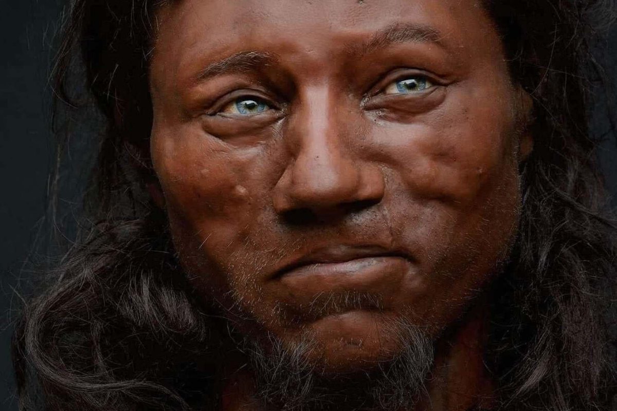 TheMiddleMan144's tweet photo. @mjolnerwolf And humans actually share 99% DNA so there isn't really that much difference between Us, and again looks are adaptation based, and these 3 below may look similar and they are related but they are still distinct, first is African, the second is Asian, then Australian, thenEuropean https://t.co/gcaIsXuG9x