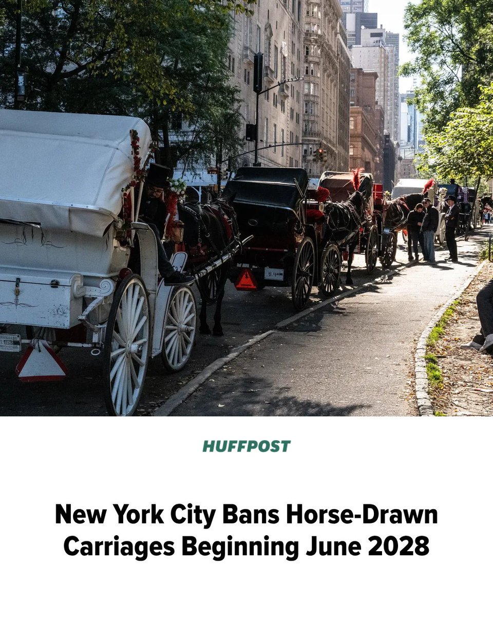 HuffPost's tweet photo. The New York City Council passed the bill following a tourist’s death this summer. https://t.co/LEdcBRO86t