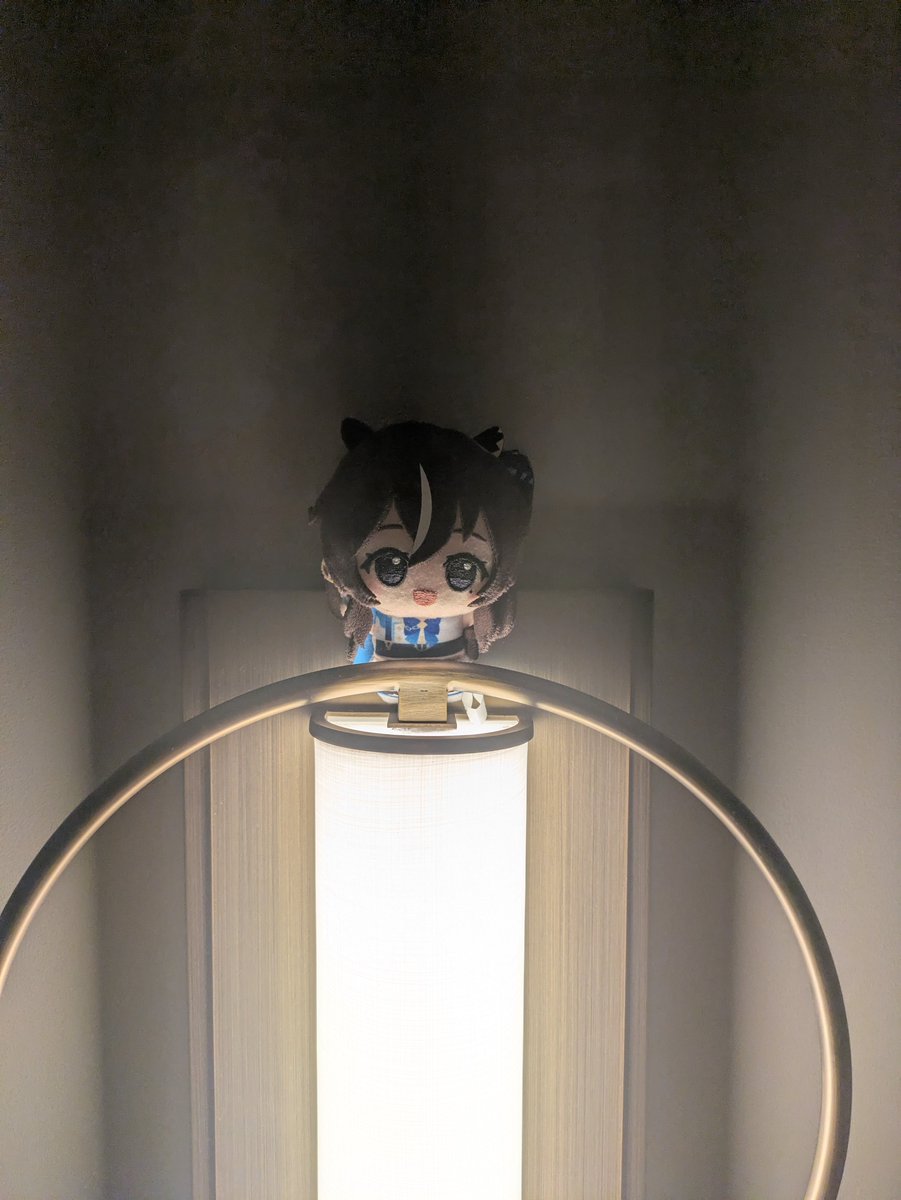 Aztea_'s tweet photo. various vivlos from today. shout out my phone for fucking up the focus in half of them https://t.co/fcqfApvJwJ