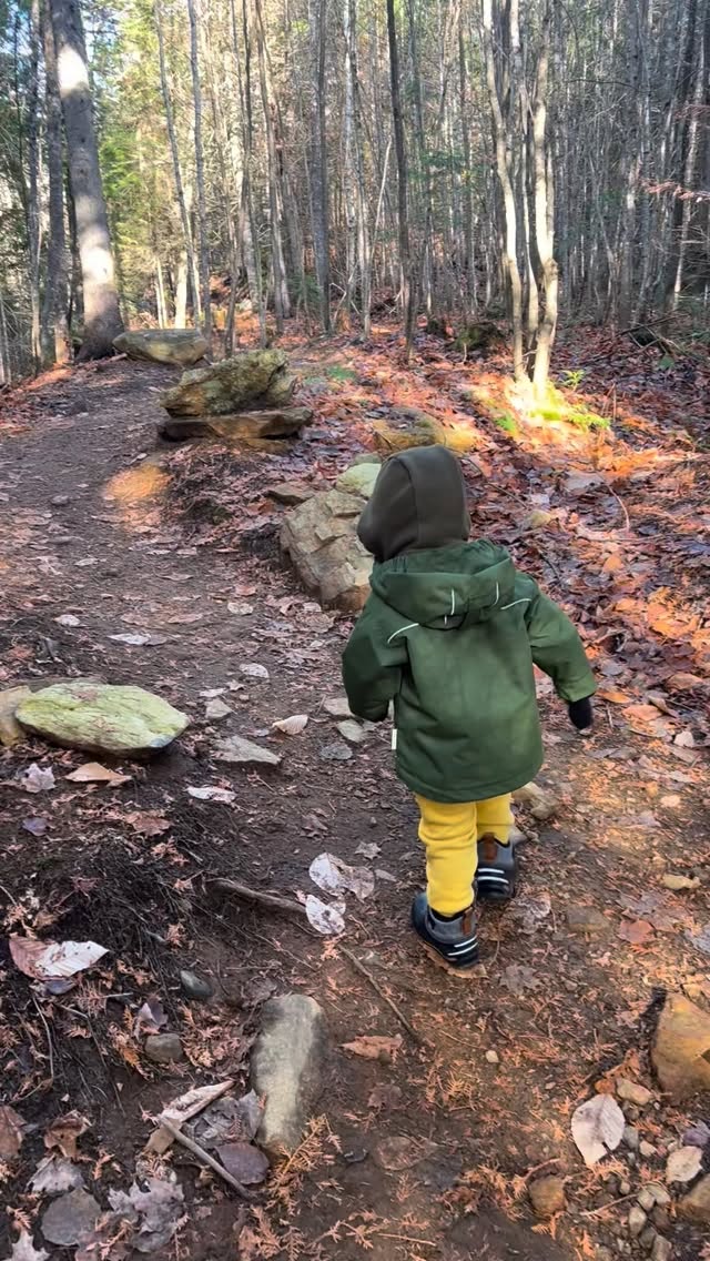 lucio_thais's tweet photo. Explorer l’automne, un pas à la fois. https://t.co/PMx8dwJB6m