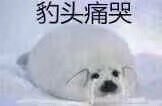 murphy_monkey's tweet photo. Ah… Typo… sorry… Lo siento… https://t.co/qoY2nIJqmu