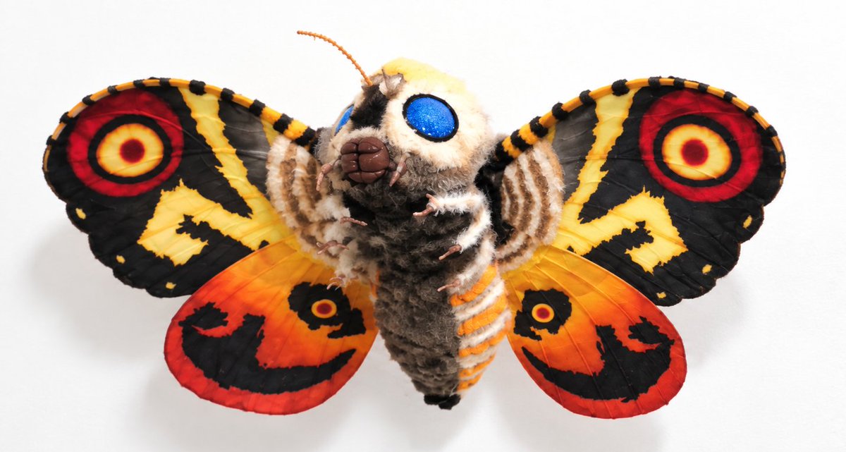 mothra1224's tweet photo. https://t.co/KOcqoAiCob