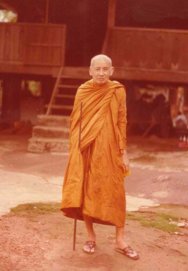 DhammaTheWorld tweet picture