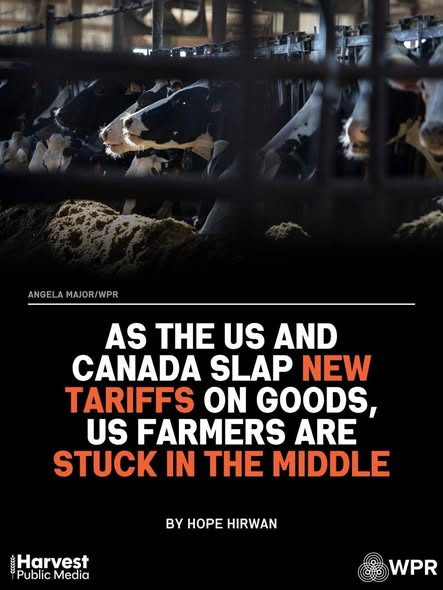 HandsOffUnited's tweet photo. A family-run #American business which paid over $520,000 in import duties in less than a month has sued the #DonaldTrump-led administration for its imposition of 50% #tariffs on certain Canadian goods.

The Gellert Global Group, a third-generation family business dealing in dairy products, has imported #Canadian cheese for around 100 years.

However, having become an unsuspecting victim of Trump’s arbitrary trade tariffs, it reportedly had to pay over $520,000 in duties between September 16 and October 11.

The company said Trump’s use of tariffs on Canadian #dairy will cost them an unsustainable US$40 million a year.

This is just one family-owned American business. How many others would have been affected is anybody's guess.

After having spent years cultivating relationships with suppliers, retailers, logistic-partners on both sides of the border, whimsical Donald Trump’s tariffs on trade threaten the entire supply chain eco-system with disruption, pushing family-owned American  businesses to the brink.

The Trump administration in August imposed a whopping 50% trade tariff on certain Canadian goods, a fallout of the failed trade talks with Canada.

The failure stemmed from Trump’s last-minute demands restricting Canada’s independent Free Trade Agreement with other countries, and challenged Canadian cultural and language policies.

Unsurprisingly, Canadians refused the demands leading to the collapse in trade talks. #Trump being himself, blamed the Canadians for the failure.

Subsequently, he imposed the tariffs on Canada expecting it to relent to his bullying.

However, #Canada in turn imposed retaliatory dollar-for-dollar tariffs on US products.

The implication: hundreds of thousands of citizens and hundreds of businesses of two countries are now paying higher duties only because tyrant Trump didn’t get his way.

But what’s even more unsettling is the Trump administration’s enactment of a near obsolete law to impose the tariffs.

The administration invoked Section 338 of the “Smoot-Hawley Tariff Act” of 1930 (we’re in 2026) which allows up to 50% tariffs on imports from countries found to discriminate against American businesses.

However, in doing so, the administration has bypassed newer laws – Section 301 of the Trade Act of 1974 in particular.

This act requires investigations, more importantly – public comment, and other safeguards; and is designed to override Section 338. Even if leeway is granted on invocation of Section 338 the administration waited only 7-days instead of the mandated 30-days to collect the tariffs. With no plausible reason for bypassing the mandated time period.

The invocation of depression era laws to coerce a long-time friend and ally to bend your way is beneath an honoured statesmanship.

It’s an embarrassment for Americans.

Sara Albrecht, chairman and CEO of the Liberty Justice Center with whose representation Gellert has filed the lawsuit, rightly said in a statement, “This case is not about the president. It is about the presidency. No president should have the power to pull a dormant statute off the shelf and use it to impose sweeping tariffs or import bans without the limits Congress required."

Currently, even though the Gellert Global Group, in launching the lawsuit challenging the legality of the tariffs has picked a fight for all, they continue to pay the significantly higher import duties.

Trump's tariffs which were supposed to aid America, are only troubling Americans.

Furthermore, the Trump administration also shows no signs of reproachment with the Canadians, imperilling long standing relationships between people and businesses on both sides of the border.

One merely wonders when and if at all there will come a time when the tyrant stops burning bridges and then asking us to pay for it.

If you like this story, and agree that Trump needs to STOP troubling Americans with his whimsical tyrannies and tariffs, don't forget to hop onto: https://t.co/dfryr6Pm2I to buy from an American-owned small business that's fighting the good fight to bring you these #news updates for free. 🇺🇸

[10% of all proceeds go to a liberal cause you choose at checkout.]

#farmers #usa #USAToday #dairy #smallbusiness