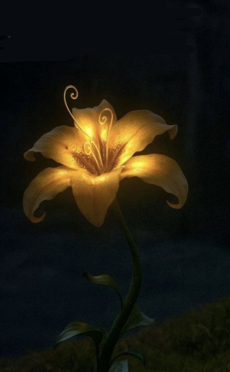 matchaaa373 tweet picture