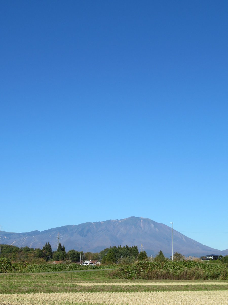 25XT_Formula tweet picture