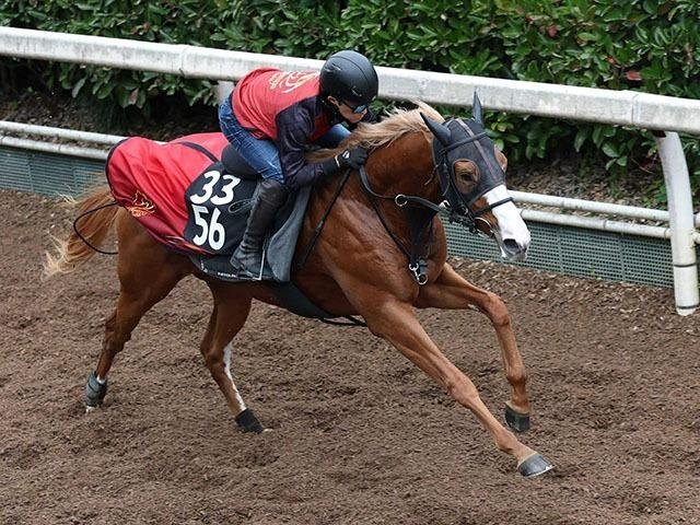 Tatotatoing's tweet photo. I know some people don't like the 26' gen for their personal reasons, but you have your opinion and I have mine.

The year's been riddled with injuries etc.. but those still fighting until the others come back are extremely admirable.

I like Matsuyama + Lovcen / Seina + Pierrot https://t.co/AQrdAwZ1lN
