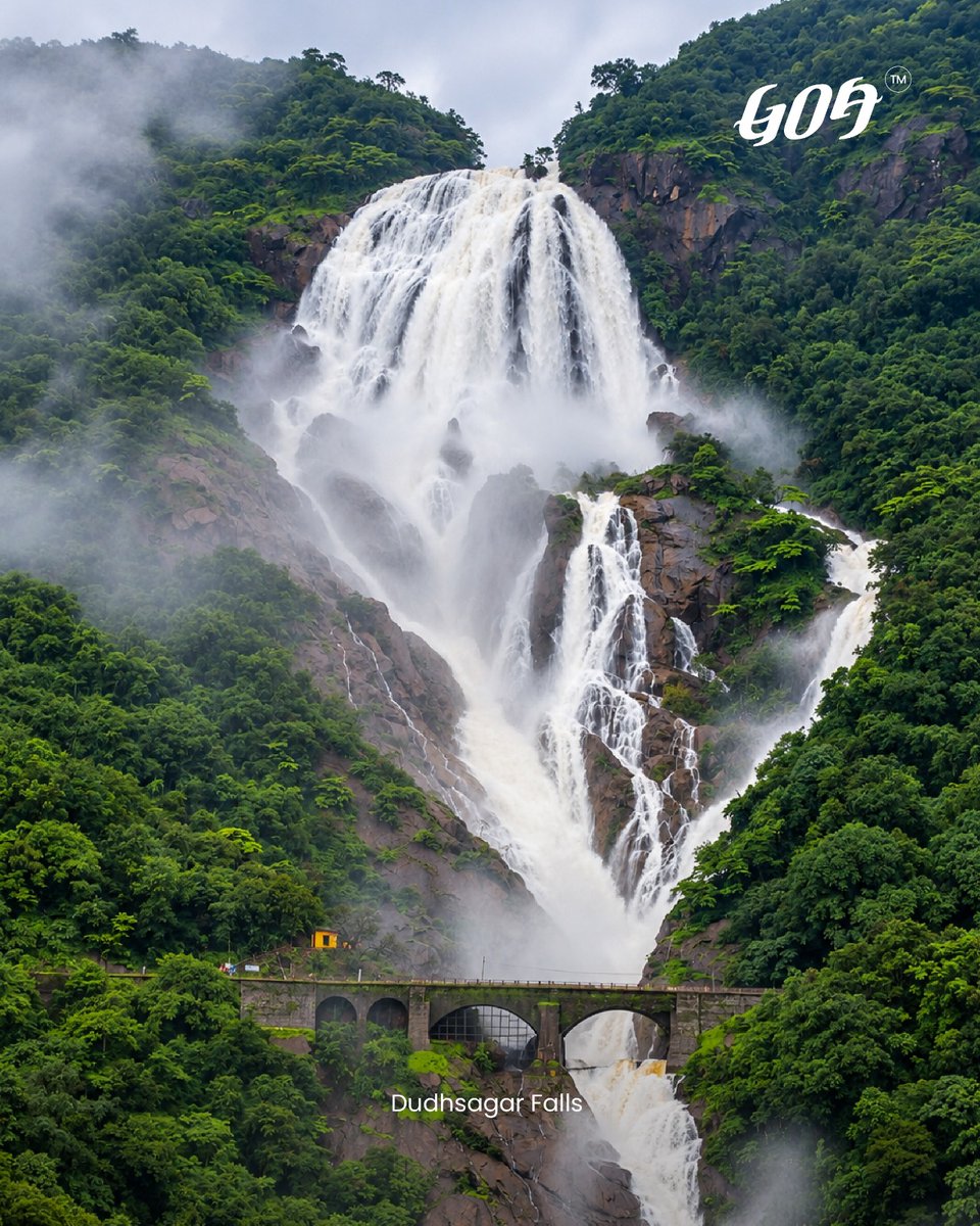 TourismGoa's tweet photo. https://t.co/V3uMKwhZyn
