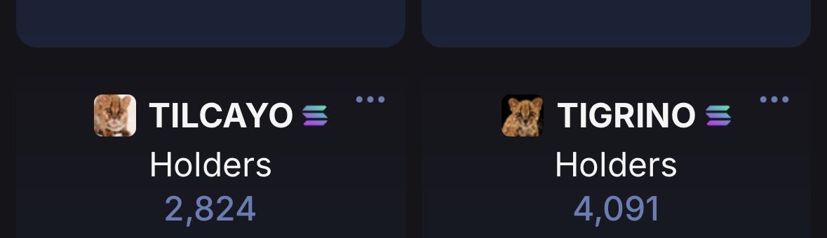 Tigrino88's tweet photo. Do you guys know solana:91ryaCo5yGpYZM3bs6GUPs97VWJQj7RozBmqPULgpump has 1267 more holders that $Tilcayo? This is very bullish for #Tigrino  🐈‍⬛🐈‍⬛🐈‍⬛🐈‍⬛🐈‍⬛ https://t.co/iOCtEq3mCD