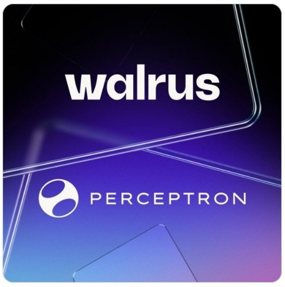 CryptoPradeep_'s tweet photo. With Walrus Foundation backing Perceptron’s $6.5M strategic round and the recent Walrus integration, expectations are getting higher. 👀

We’ve been grinding daily and contributing consistently. Hope early and loyal contributors get rewarded fairly at $PERC TGE. 🔥 https://t.co/XX2dom4TRy