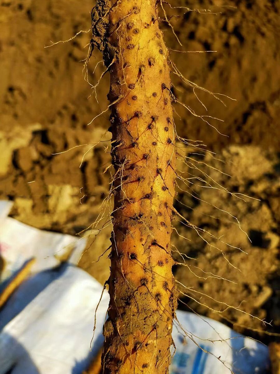 yky2903's tweet photo. 牙豆世資源の無駄遣いをなくそう！日々の小さな努力が大きな変化につながります。 https://t.co/BbJ4kePG7c