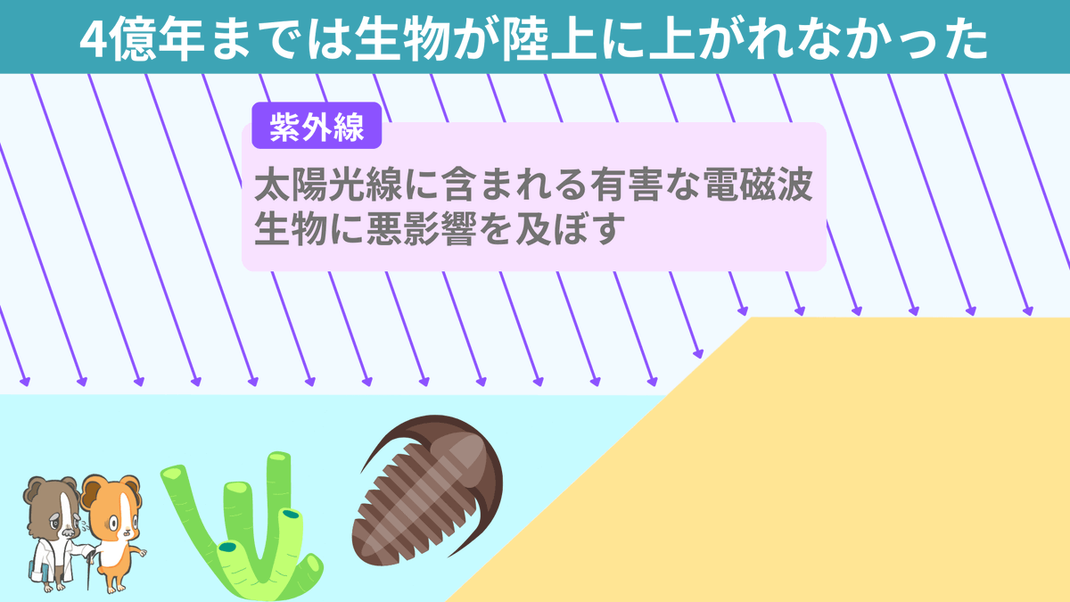 spEarthScience's tweet photo. 「オゾン層への感謝」忘れていませんか？
オゾン層が形成される4億年前まで、生物は陸上に上がることすらできなかったのです。オゾン層が有害な紫外線を吸収するおかげで僕らは陸上で生活できています。フロンガスなど人類が作ったものでオゾン層を破壊することがないよう、感謝を忘れずいきましょう！ https://t.co/K3f7c8k7dV