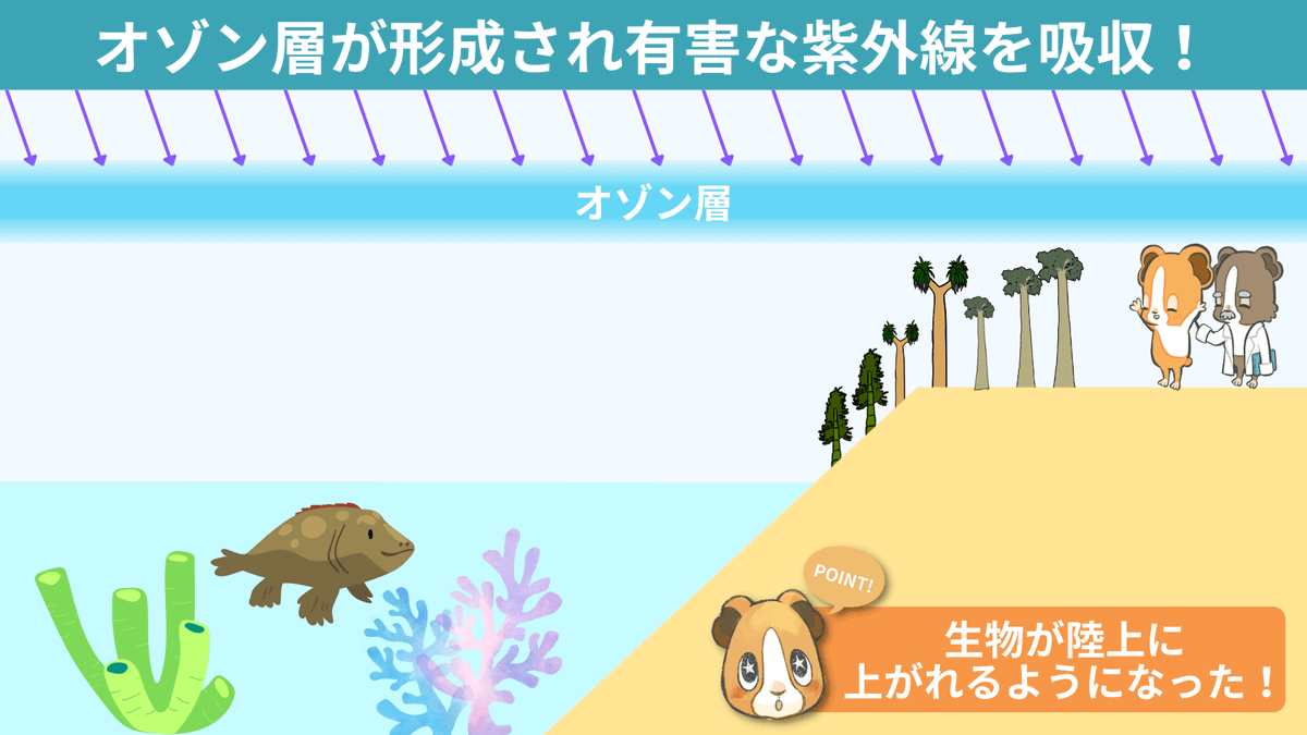 spEarthScience's tweet photo. 「オゾン層への感謝」忘れていませんか？
オゾン層が形成される4億年前まで、生物は陸上に上がることすらできなかったのです。オゾン層が有害な紫外線を吸収するおかげで僕らは陸上で生活できています。フロンガスなど人類が作ったものでオゾン層を破壊することがないよう、感謝を忘れずいきましょう！ https://t.co/K3f7c8k7dV