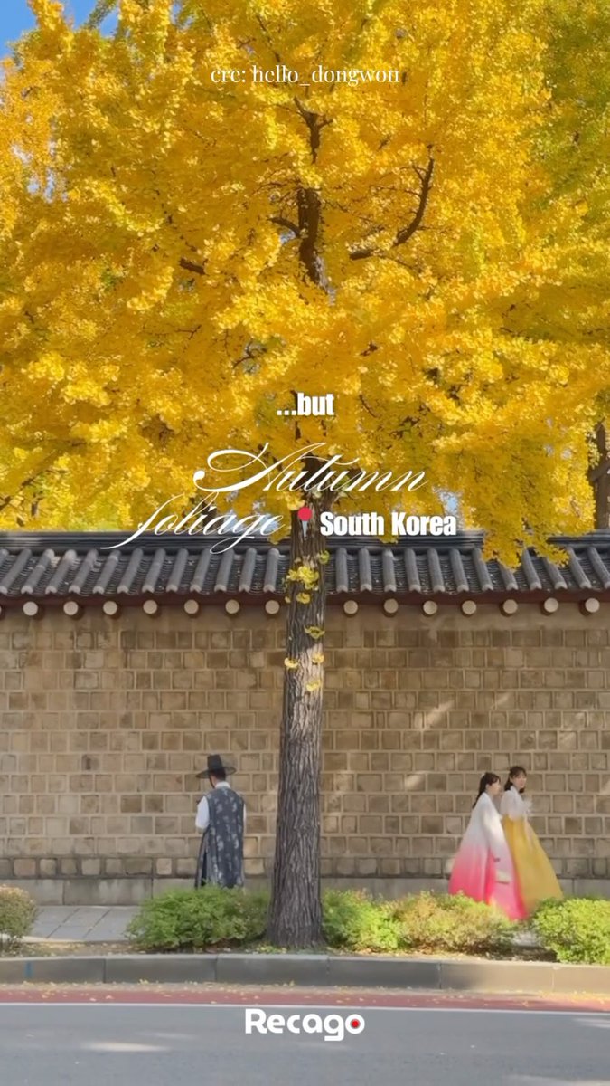 LilliKCChavenvu's tweet photo. Seoul feels especially surreal during the most romantic season. Stroll the back roads near Daelim Museum and Samcheong-dong for a quiet autumn escape. https://t.co/WKKvqpP8Da