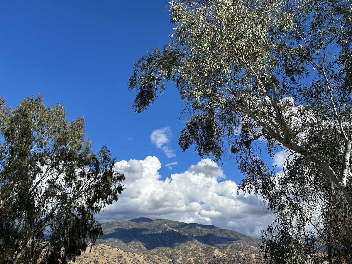 California190 tweet picture