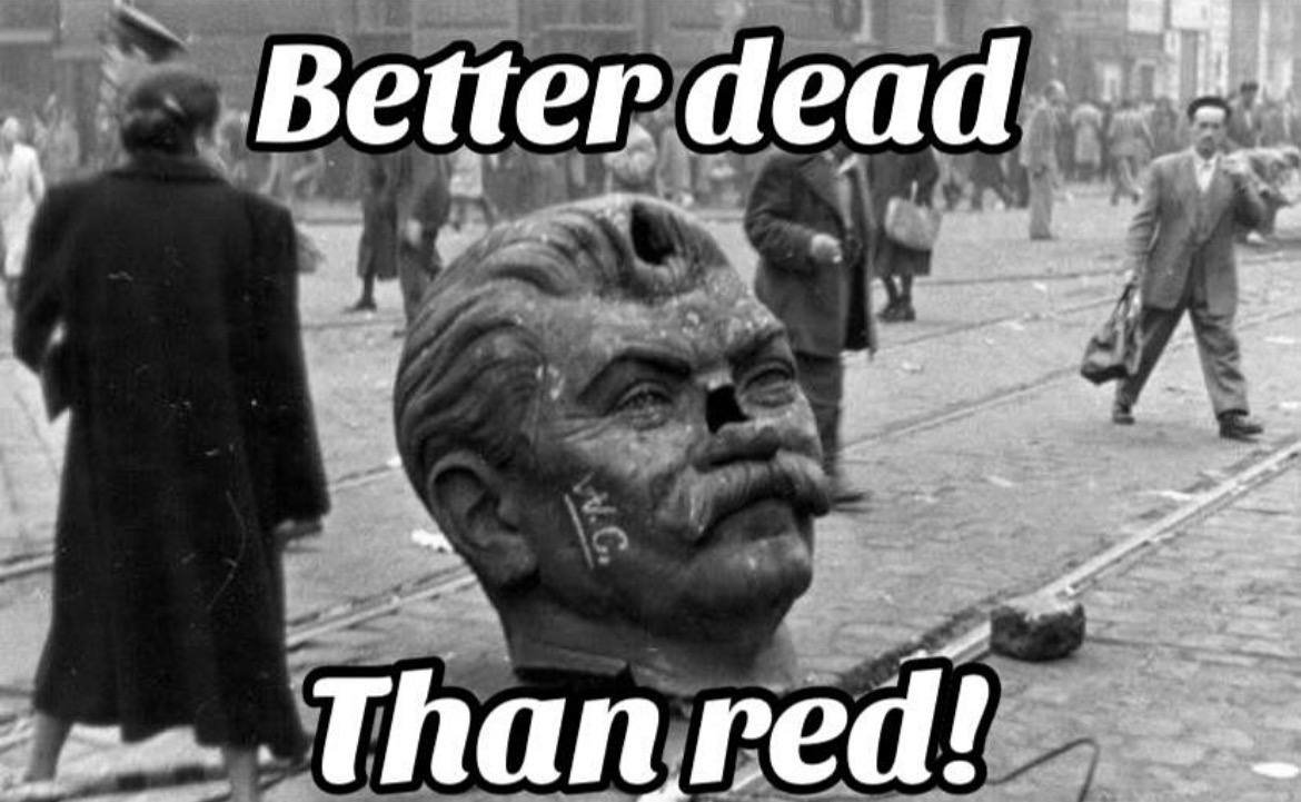 SoundwaveRotF_'s tweet photo. Today we remember the October 23, 1956 Hungarian 🇭🇺 Revolution. Communism kills! https://t.co/n7pyk7RSOy