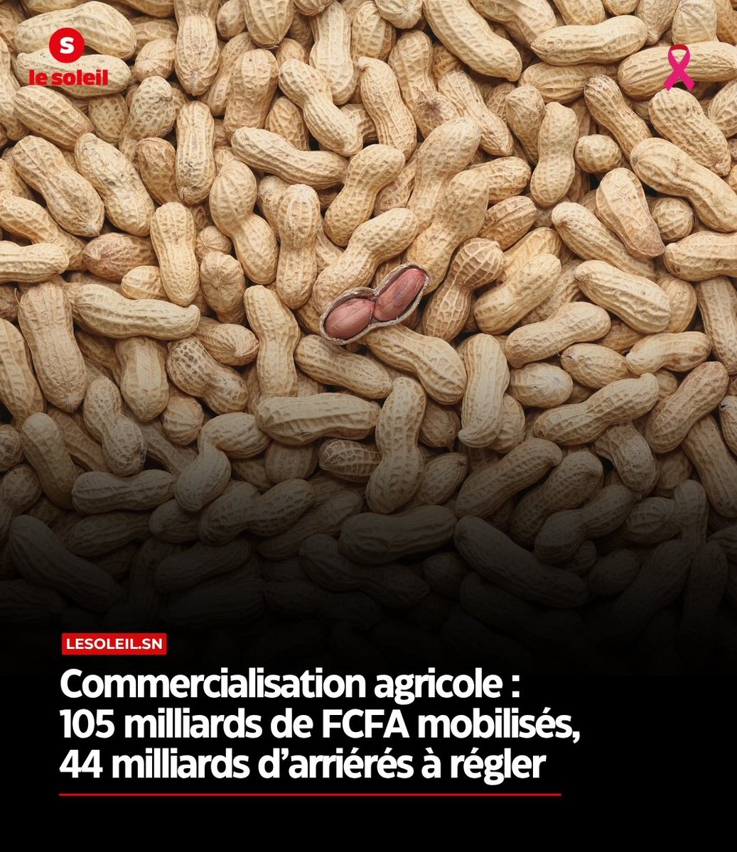 LeSoleilonline's tweet photo. À l’approche de la campagne de commercialisation agricole, le Gouvernement entend agir sur l’un des principaux facteurs de perturbation des filières

https://t.co/3oIAfo3e3W https://t.co/8hvh6WENtk