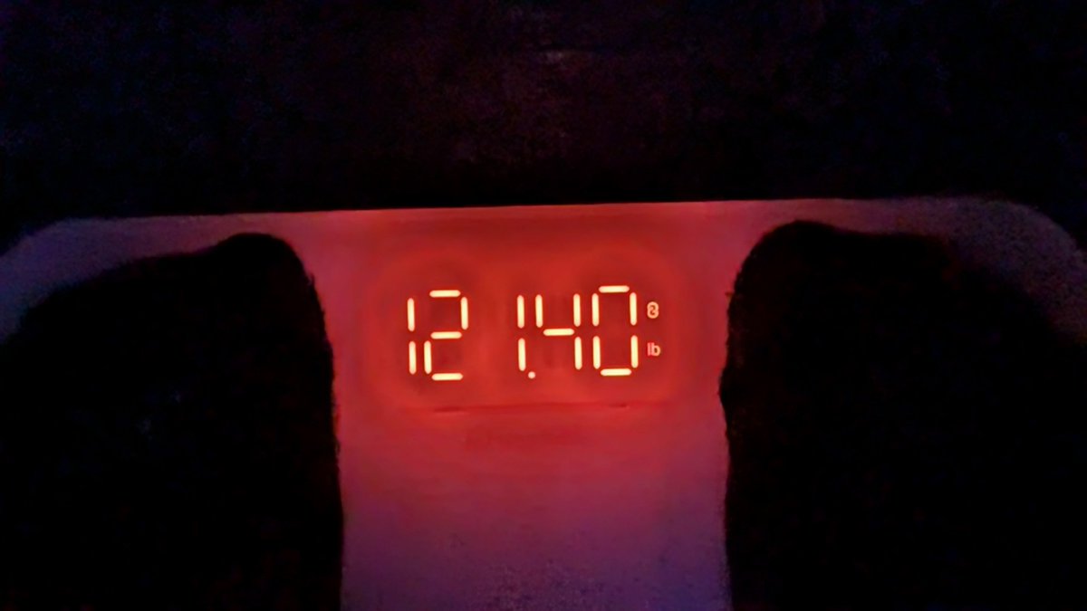 LexShortBread's tweet photo. EEEEKKKK IM FINALLY BMI 21s!!!!!! #edrtwt https://t.co/4FSWpVJvlt