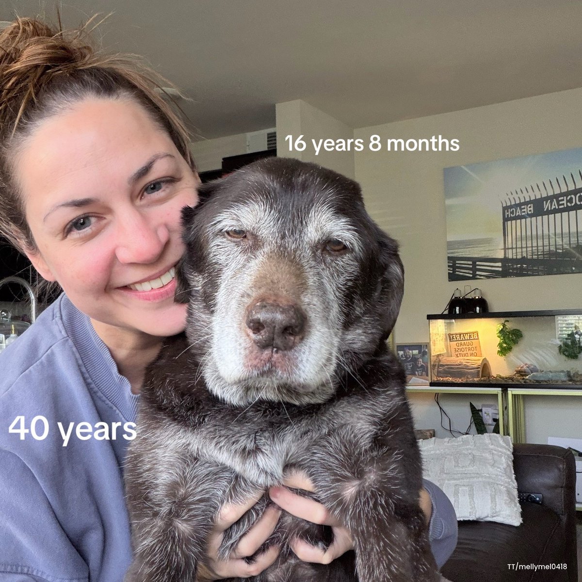 onedio's tweet photo. 16 yıllık dostluk...
 
24 yaşındayken henüz 9 aylık olan köpeğiyle fotoğraf çekilen kadın, aynı pozu 16 yıl sonra yeniden verdi. https://t.co/Yf0WnRDNGq