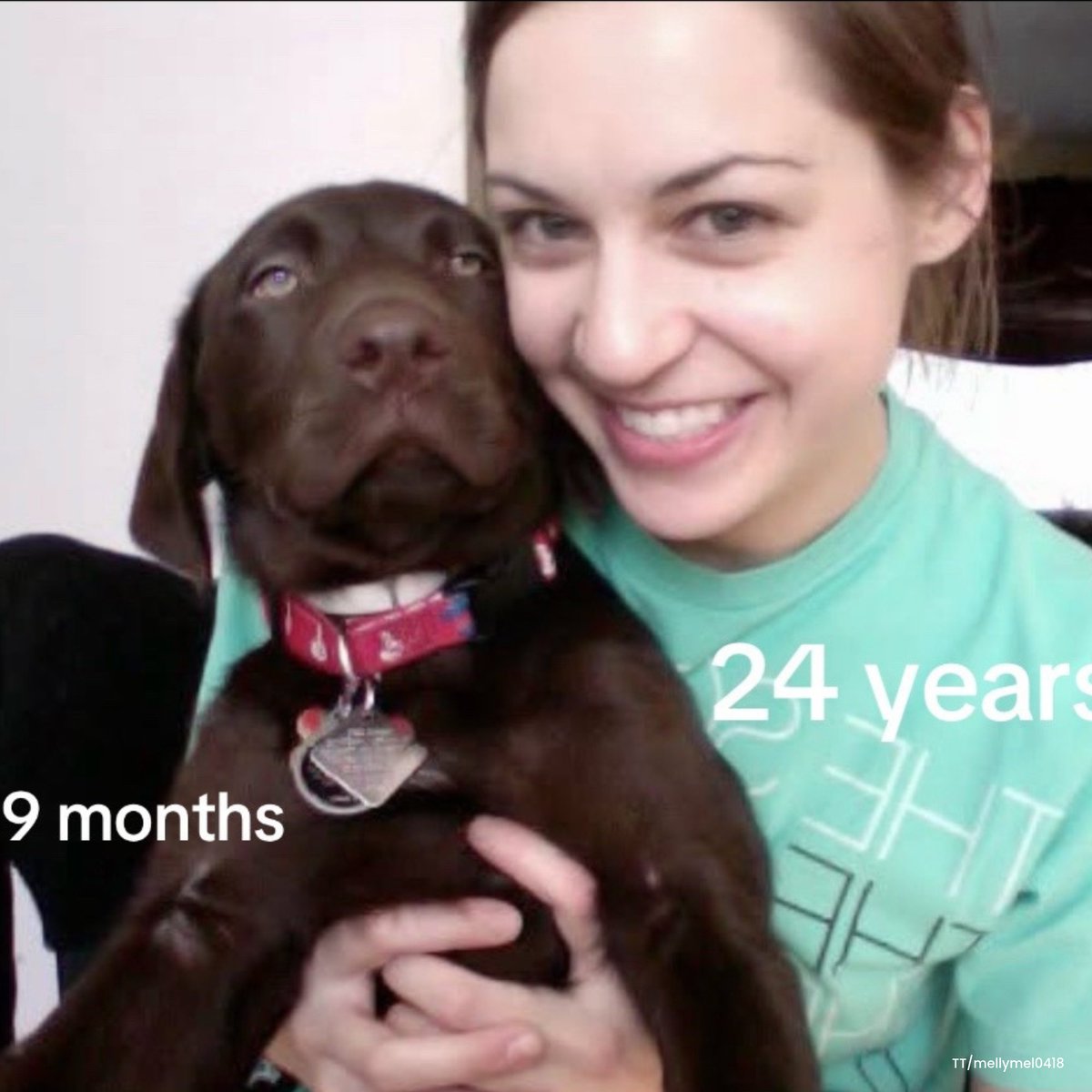 onedio's tweet photo. 16 yıllık dostluk...
 
24 yaşındayken henüz 9 aylık olan köpeğiyle fotoğraf çekilen kadın, aynı pozu 16 yıl sonra yeniden verdi. https://t.co/Yf0WnRDNGq