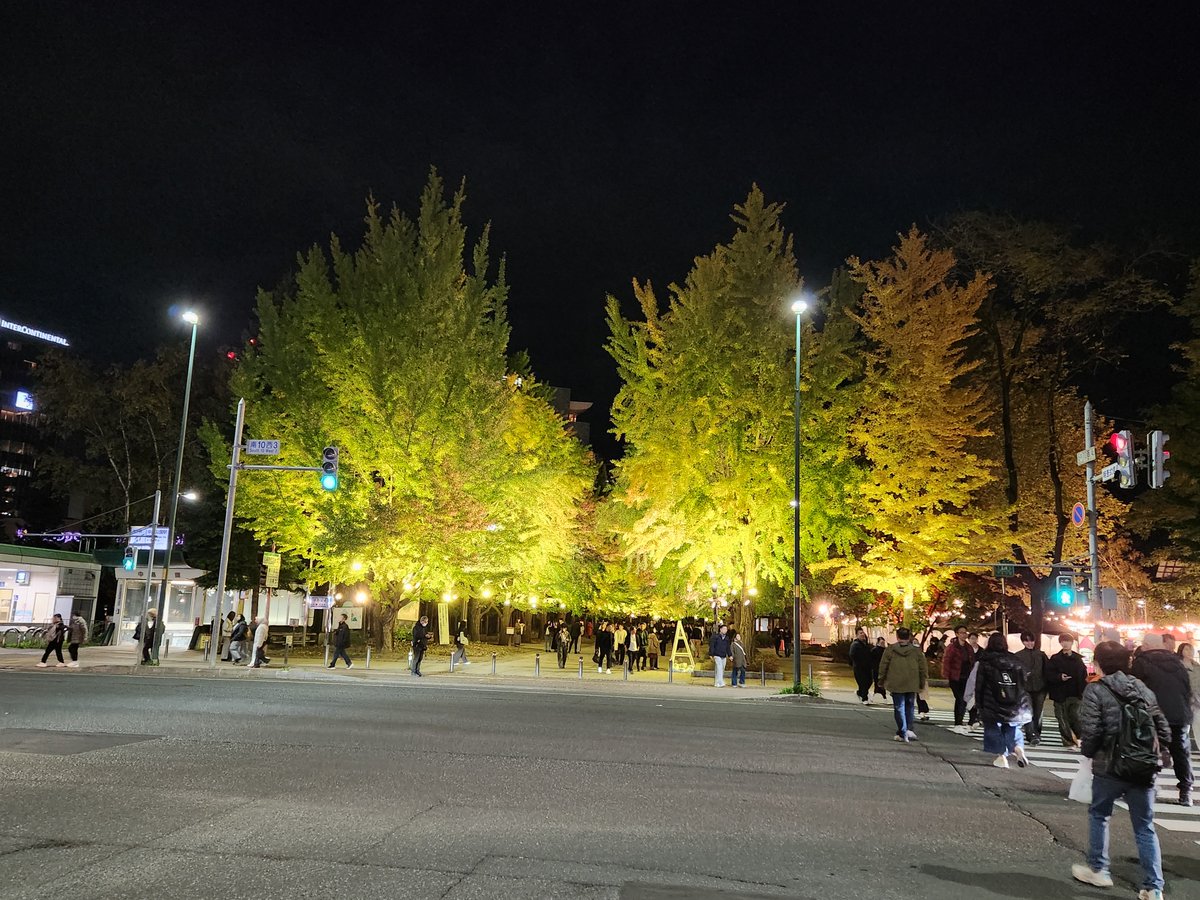 YN0774144019023's tweet photo. 今年も中島公園の紅葉ライトアップイベント行ってきたよ✨️
今回は初日��行けてラッキー✌️✨️ https://t.co/2mtcrso0aL
