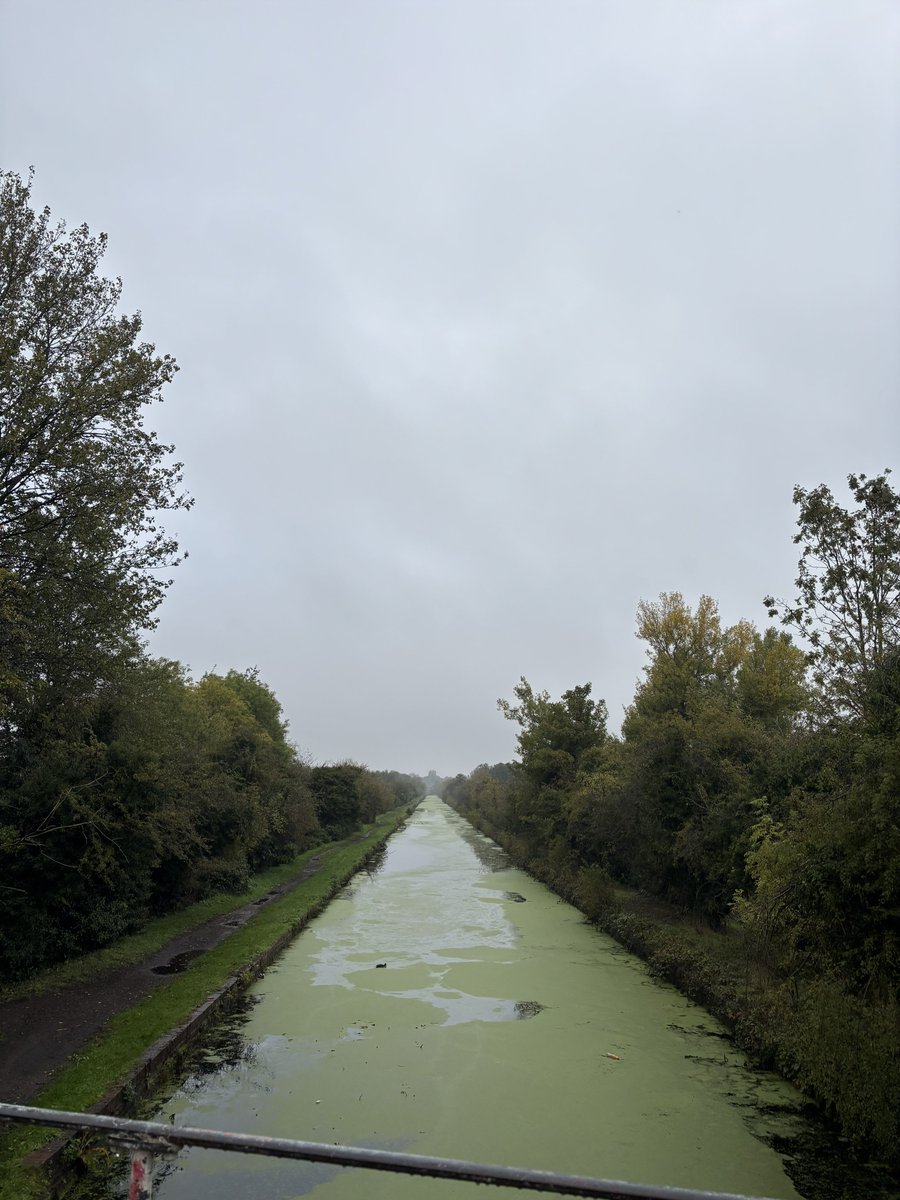 NWal5h's tweet photo. Walk before the rain came down https://t.co/pBBN8fPVXh