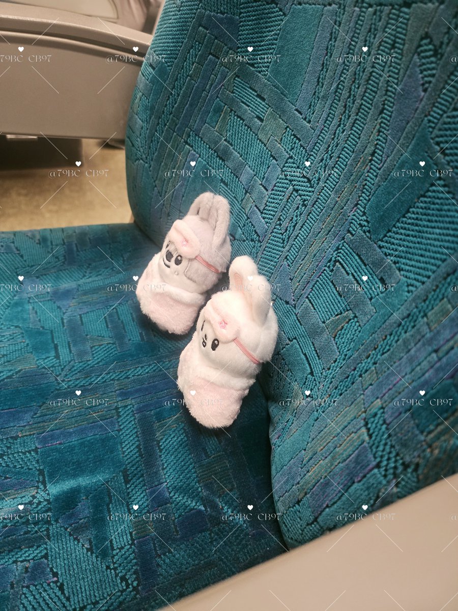 79BC_CB97's tweet photo. 彼ら🐺🐰とともに福岡向かいます☺︎🚅 https://t.co/oVrYupGWzM