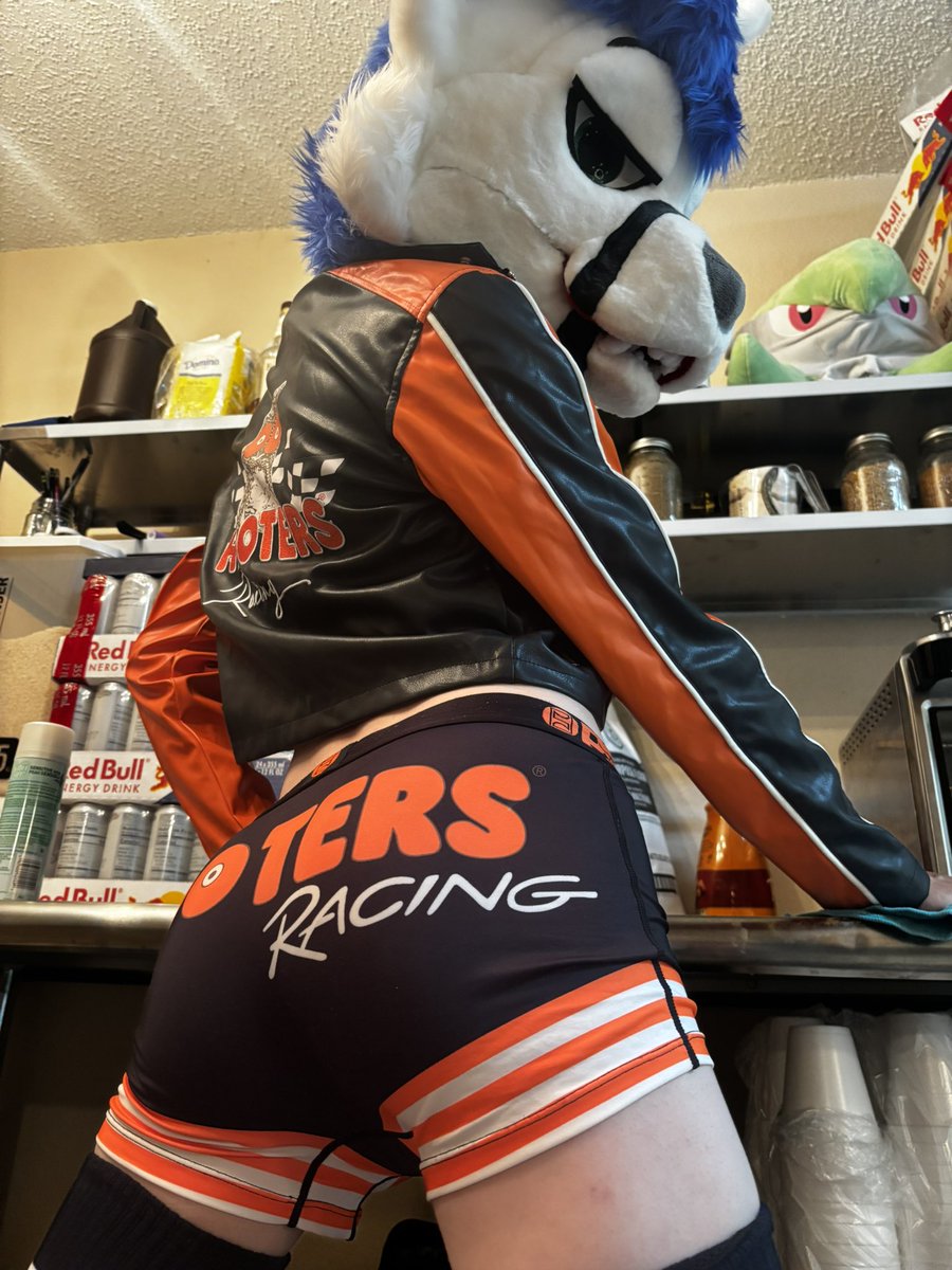 SkollWolfrik's tweet photo. I need to date blue collar furries 
Them white collars aren’t cutting it https://t.co/YBu3kpHRfZ