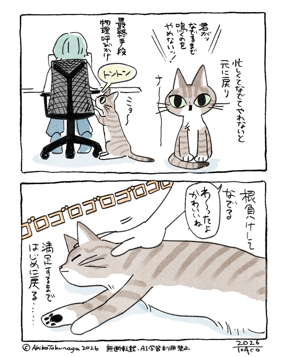 toaco's tweet photo. 猫日記 https://t.co/SnQNmIJWy7