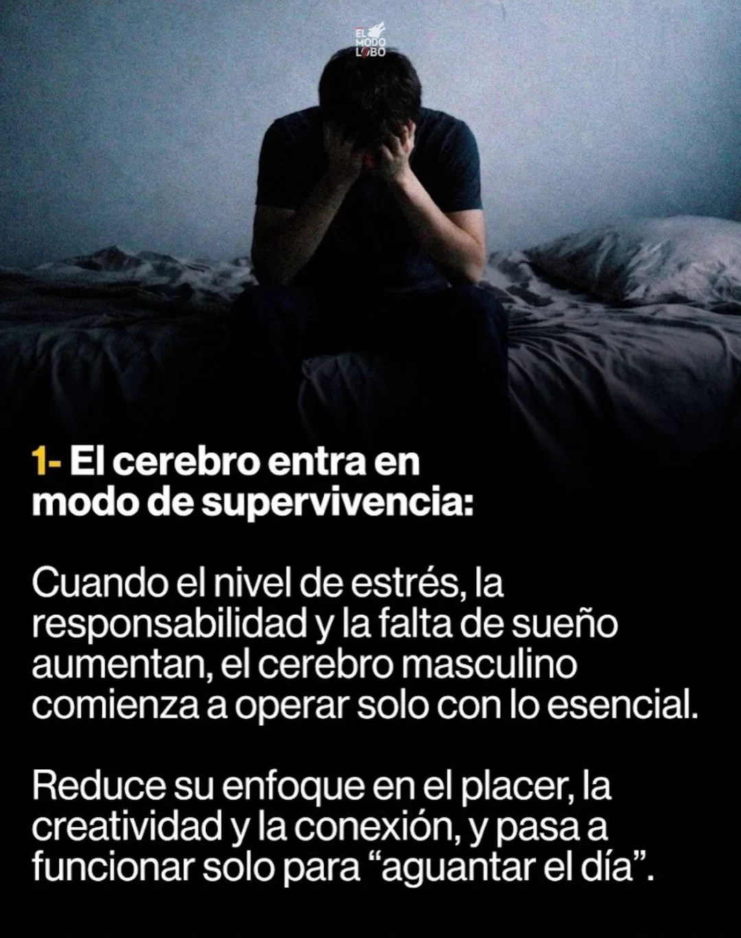 Fran cutuli on X: 