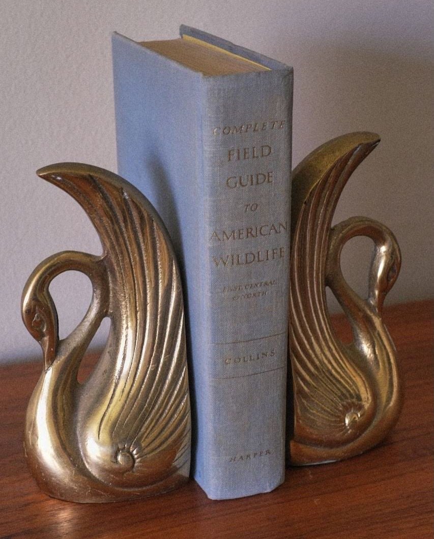 gardeniavibe's tweet photo. swan in interiors https://t.co/04Vo2pgUQo