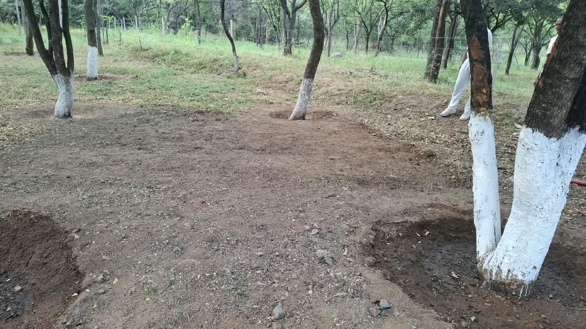 CISFTraining's tweet photo. 🇮🇳✨ SUSTAINING THE MISSION OF SWACHHATA | SPECIAL CAMPAIGN 6

CISF NISA, Hyderabad, continues to uphold the spirit of Swachh Bharat through cleanliness activities aimed at maintaining neat, hygienic and orderly premises. 🧹

#CISF #CISFNISA #SpecialCampaign6  @CISFHQrs https://t.co/CMJgGJbQMo