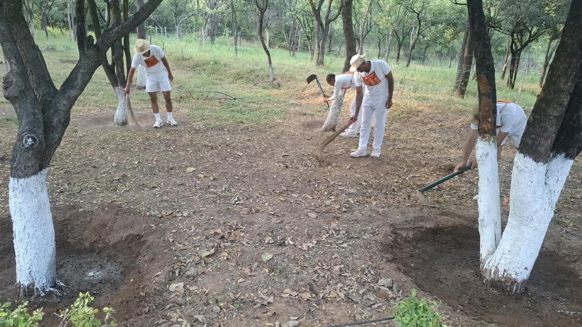 CISFTraining's tweet photo. 🇮🇳✨ SUSTAINING THE MISSION OF SWACHHATA | SPECIAL CAMPAIGN 6

CISF NISA, Hyderabad, continues to uphold the spirit of Swachh Bharat through cleanliness activities aimed at maintaining neat, hygienic and orderly premises. 🧹

#CISF #CISFNISA #SpecialCampaign6  @CISFHQrs https://t.co/CMJgGJbQMo