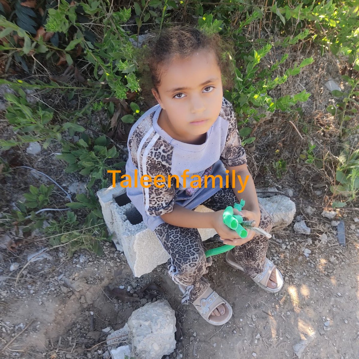 TaleenFamily's tweet photo. I'm seeking a kind-hearted person to help me support my family of 8 with food and medicine. Any donation, no matter how small, means the world to us. Please don’t leave us alone. 💔
https://t.co/k9aRNqwqXM https://t.co/3BTIXp8jOo