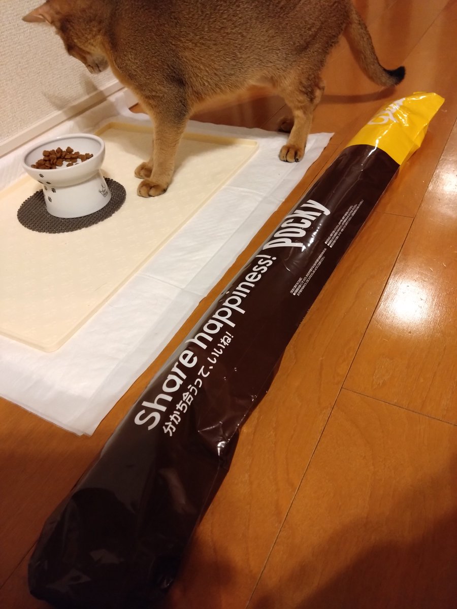 ume0207's tweet photo. グリコ300円買ったらもらえるから…ぷうの一撃で穴開いたて終了。　#ソマリ　#6ヶ月　#一撃 https://t.co/SdGwyFGcp1