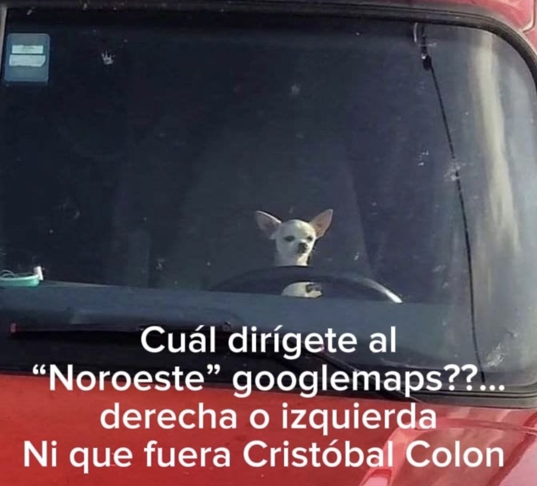 wikipistacho's tweet photo. https://t.co/xsG5kg1hx8