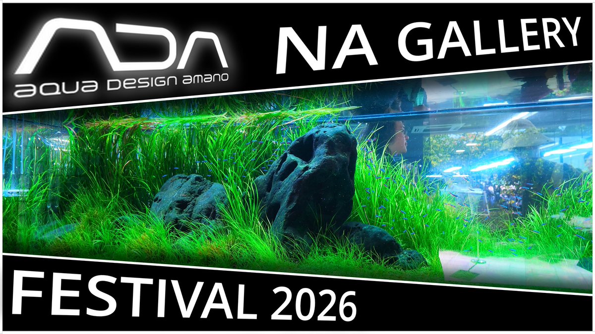 WENT_JP's tweet photo. YouTubeアップしました!!
【ADA FESTIVAL 2026🇯🇵】
NAギャラリーの水槽を全公開します。
▶︎https://t.co/likYhIErRn
#ADA #AQUARIUM #IAPLC #アクアリウム https://t.co/7ZeXjTsK3P