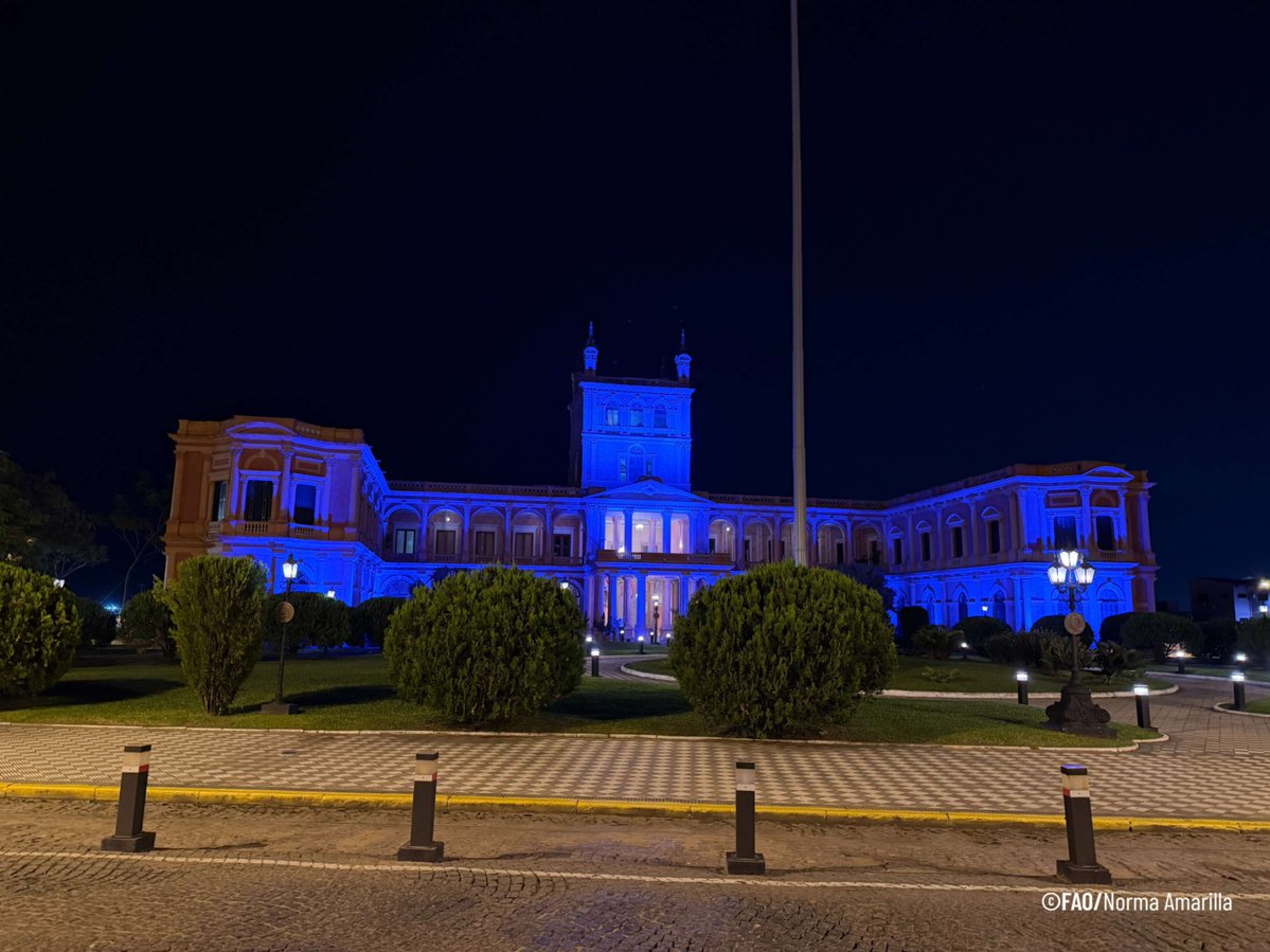 FAOParaguay's tweet photo. Paraguay se iluminó por el Día Mundial de la Alimentación💡🌱
Edificios históricos de Paraguay se sumaron a la conmemoración del Día Mundial de la Alimentación 2026.
#InnovarHoyParaNutrirMañana
#WorldFoodDay
@PresidenciaPy @CONMEBOL @APFOficial @CAHParaguay https://t.co/joDjVVRoke