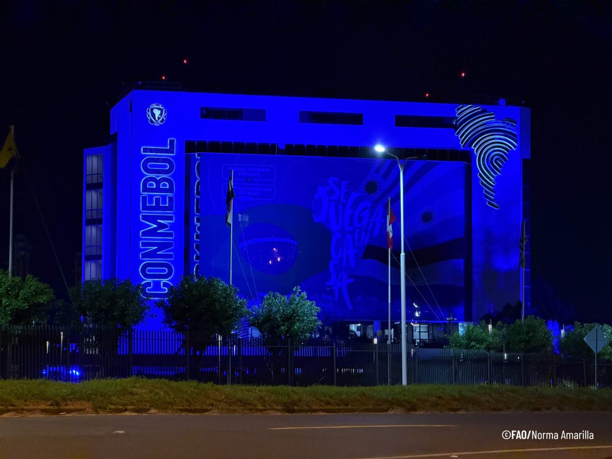 FAOParaguay's tweet photo. Paraguay se iluminó por el Día Mundial de la Alimentación💡🌱
Edificios históricos de Paraguay se sumaron a la conmemoración del Día Mundial de la Alimentación 2026.
#InnovarHoyParaNutrirMañana
#WorldFoodDay
@PresidenciaPy @CONMEBOL @APFOficial @CAHParaguay https://t.co/joDjVVRoke