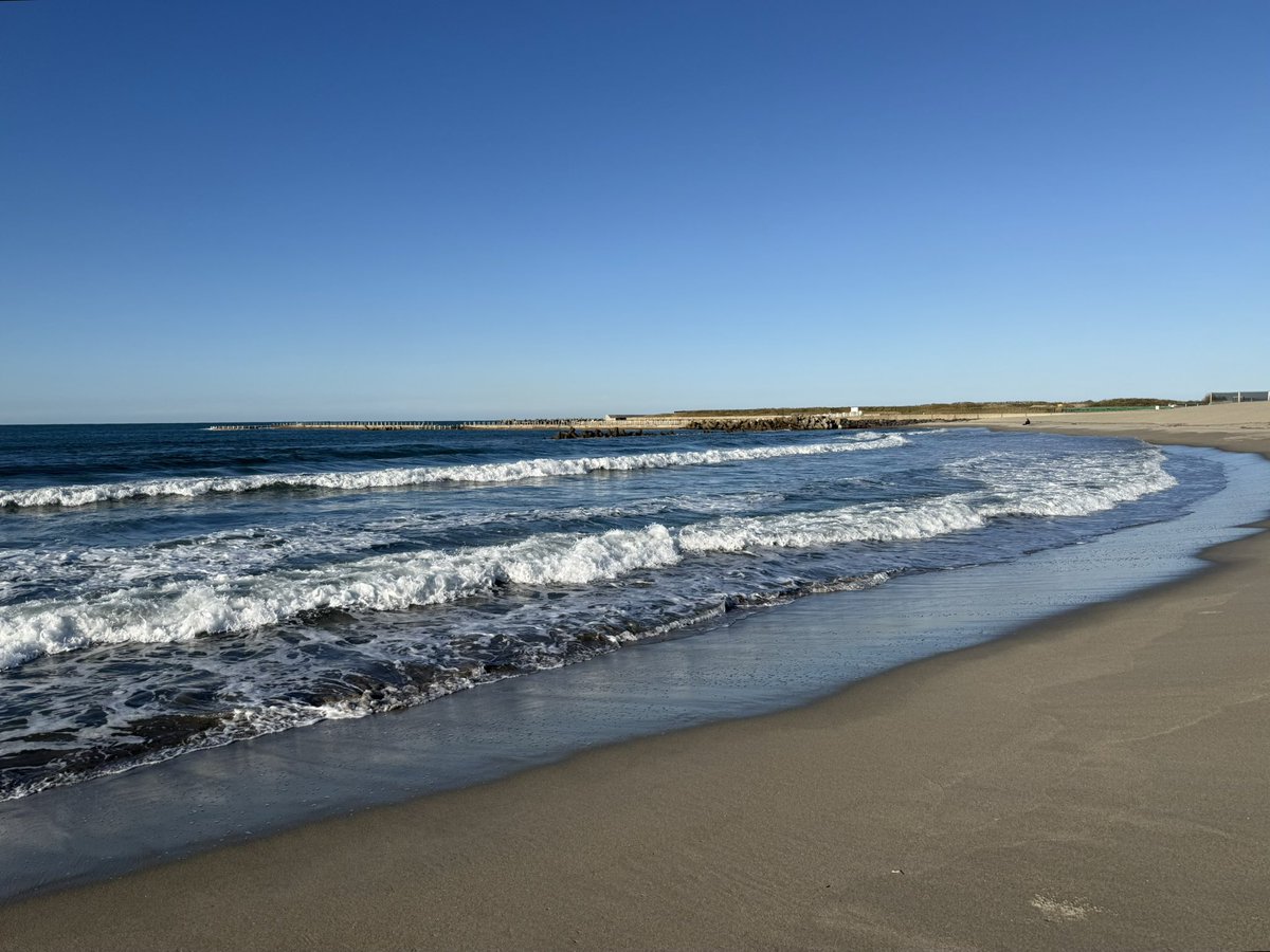 GrassyKnollTX's tweet photo. ひさしぶり地元浜でチビっと回収。寒くなっても海はいいね。 https://t.co/fTKZc2a0ik