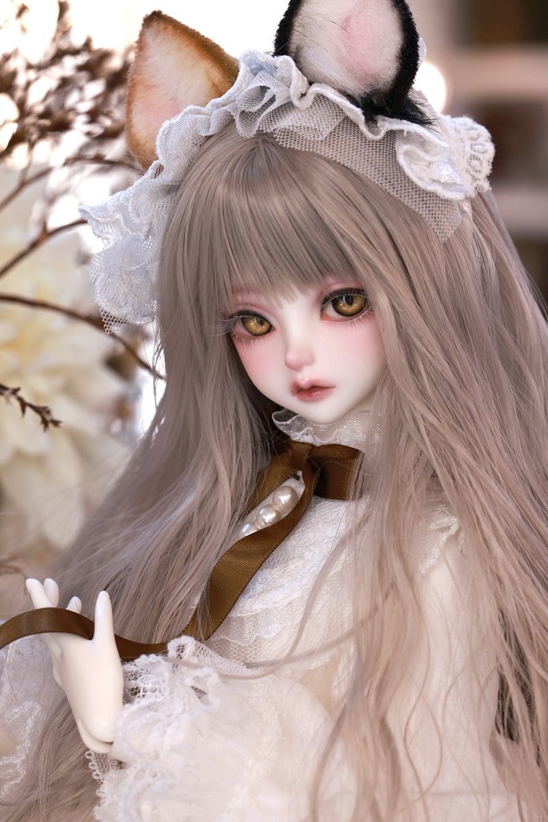 DOLKSTATION's tweet photo. 【DOLK×Peak’s Woods】

ドル沼CHレビュー記念！
『FOB Little Goldie - 三毛猫 ver. Limited Edition』が特別復刻✨

➡https://t.co/DEIYMKpg4L

美しいメイクや、猫特有のふわふわな白い毛を思わせるドレスの細部まで、動画で余すことなく紹介。画像では分からない細部を是非チェックしてください♪ https://t.co/Upa8tsuQeI