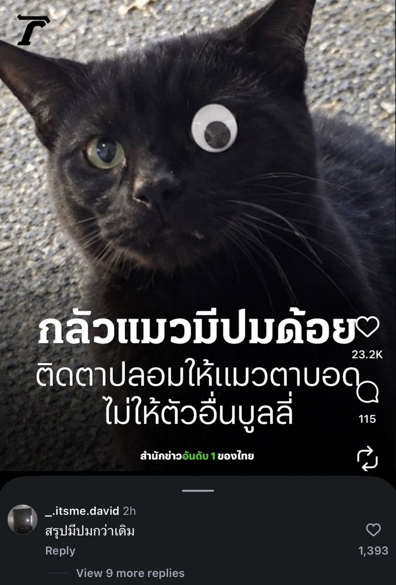 lostyouinmay's tweet photo. 55555555555555555555555 https://t.co/V8oq6nZdx1