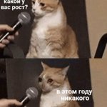 Photo by Государство Мемов 🏛️ (@mem_gov)