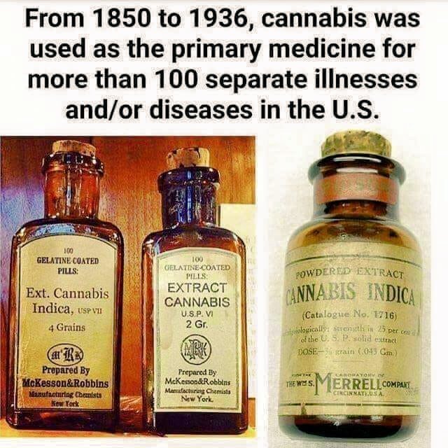 medicalgrower42's tweet photo. Marijuana Was and Still Is Medicine! https://t.co/vPTiPiEagr