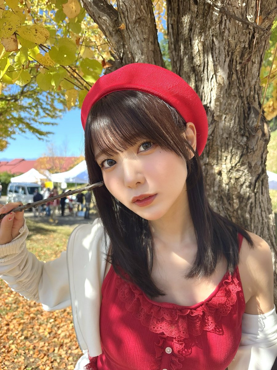 okuyui515's tweet photo. 木漏れ日🍁🍂 https://t.co/9VJTswACyo