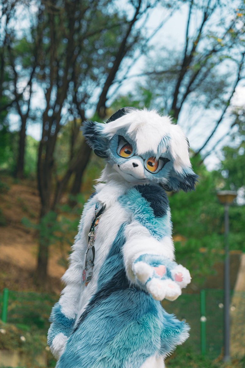Cirrus_Fursuit's tweet photo. 산은 제 집이나 마찬가지죠🙂‍↕️
안내해 드릴까요?
📷: @Meoru_butler https://t.co/PisTw31Ezb