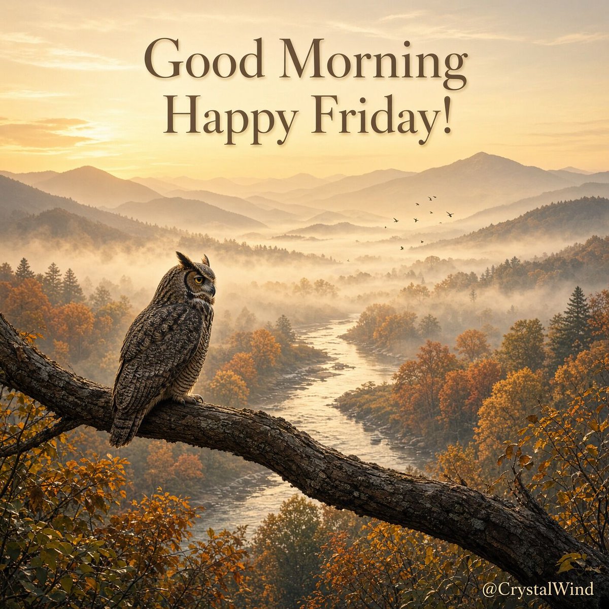 CrystalWind's tweet photo. Good Morning, Happy Friday!

May this morning meet you with a little more ease than yesterday.

The light is soft and already present, asking nothing of you except that you let it in.

Whatever has felt heavy, let a small part of it rest here.

Joy does not always announce itself.

Sometimes it is simply the feeling of space opening around you as the day begins.

Wishing you a Friday that feels a bit gentler and a bit brighter than you expected.