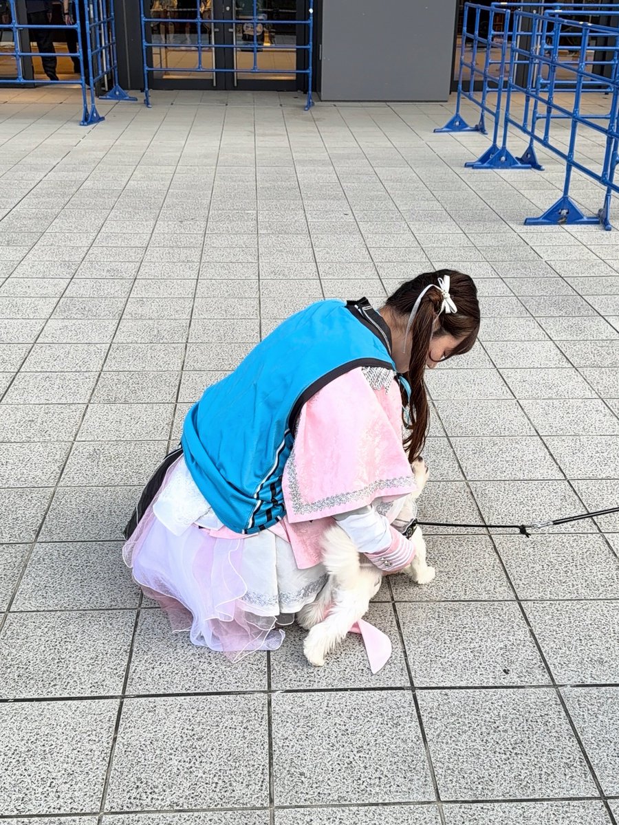 koharu_parepare's tweet photo. 4コマ漫画🐶🐩🐕‍🦺 https://t.co/7ekvg028u2